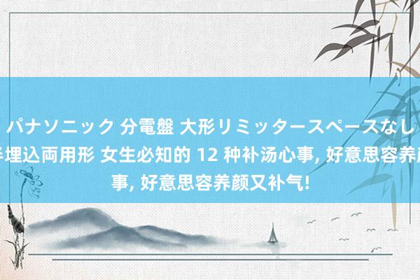 パナソニック 分電盤 大形リミッタースペースなし 露出・半埋込両用形 女生必知的 12 种补汤心事， 好意思容养颜又补气!