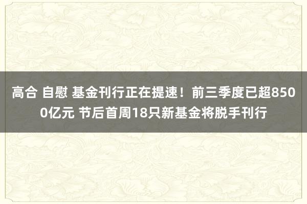 高合 自慰 基金刊行正在提速！前三季度已超8500亿元 节后首周18只新基金将脱手刊行