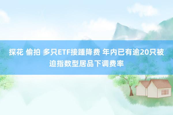 探花 偷拍 多只ETF接踵降费 年内已有逾20只被迫指数型居品下调费率