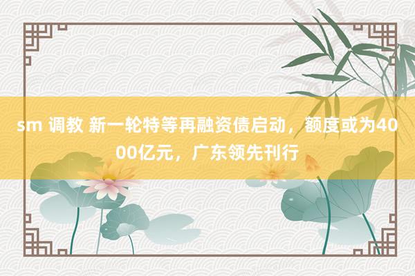 sm 调教 新一轮特等再融资债启动，额度或为4000亿元，广东领先刊行