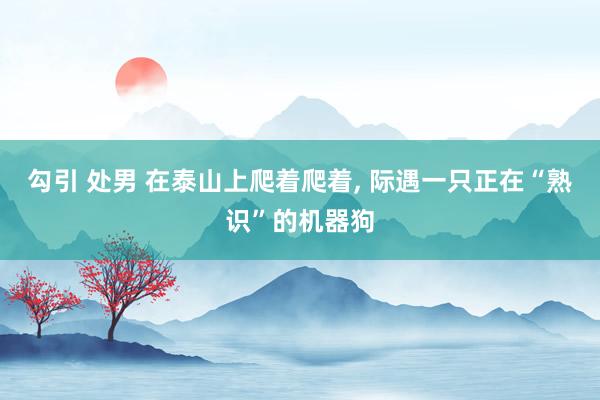 勾引 处男 在泰山上爬着爬着， 际遇一只正在“熟识”的机器狗