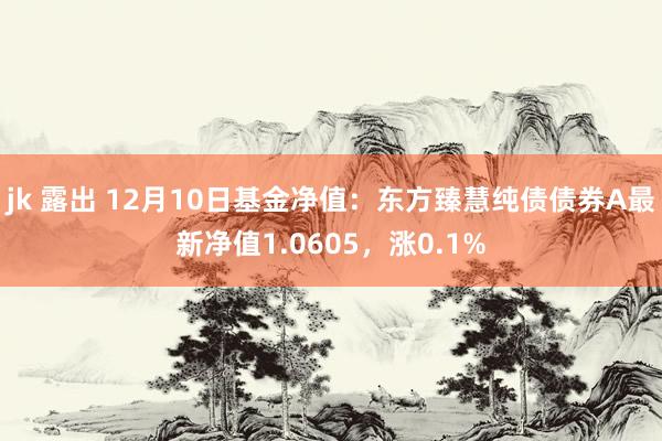 jk 露出 12月10日基金净值：东方臻慧纯债债券A最新净值1.0605，涨0.1%