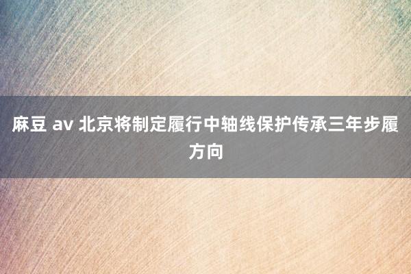 麻豆 av 北京将制定履行中轴线保护传承三年步履方向