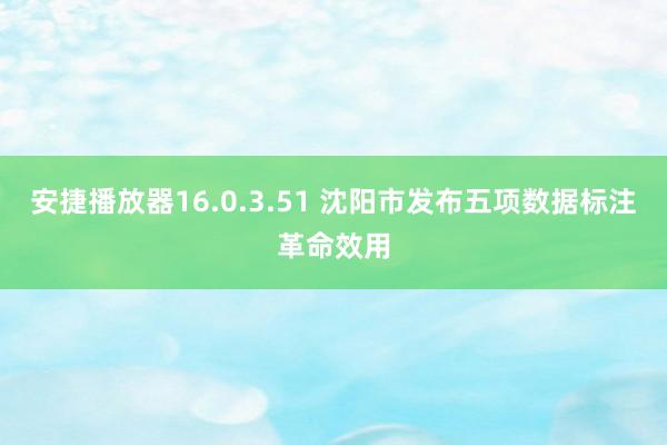 安捷播放器16.0.3.51 沈阳市发布五项数据标注革命效用